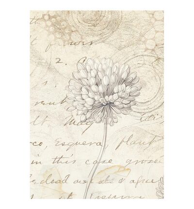 DFSAK6054 - Stamperia - Stamperia Papier de riz fonds A6 – All Around - Rice Paper Backgrounds - Detail 4 DFSAK6054 - Stamperia - Stamperia Papier de riz fonds A6 – All Around - Rice Paper Backgrounds - Detail 4