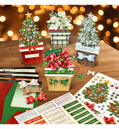 17-10080CFP - Katy Sue Designs - Kit de cartes – Christmas Flower Pots - Card Making Kits - Detail 6 17-10080CFP - Katy Sue Designs - Kit de cartes – Christmas Flower Pots - Card Making Kits - Detail 6