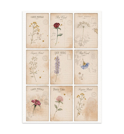 SBJK31 - Stamperia - Stamperia junk journal stickers et découpes – Flowers and Poems - - Detail 12 SBJK31 - Stamperia - Stamperia junk journal stickers et découpes – Flowers and Poems - - Detail 12