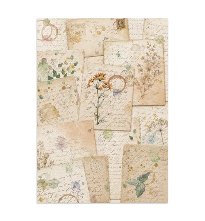 SBJK31 - Stamperia - Stamperia junk journal stickers et découpes – Flowers and Poems - - Detail 15 SBJK31 - Stamperia - Stamperia junk journal stickers et découpes – Flowers and Poems - - Detail 15