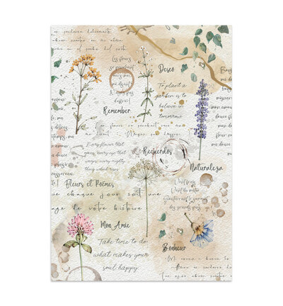SBJK31 - Stamperia - Stamperia junk journal stickers et découpes – Flowers and Poems - - Detail 31 SBJK31 - Stamperia - Stamperia junk journal stickers et découpes – Flowers and Poems - - Detail 31
