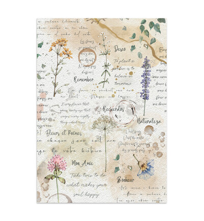 SBJKS10 - Stamperia - Stamperia junk journal Focus Points A5 – Flowers and Poems - - Detail 25 SBJKS10 - Stamperia - Stamperia junk journal Focus Points A5 – Flowers and Poems - - Detail 25