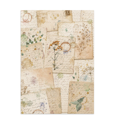SBJKS10 - Stamperia - Stamperia junk journal Focus Points A5 – Flowers and Poems - - Detail 28 SBJKS10 - Stamperia - Stamperia junk journal Focus Points A5 – Flowers and Poems - - Detail 28