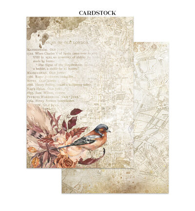 SBJK30 - Stamperia - Stamperia junk journal stickers et découpes – Our Way - - Detail 3 SBJK30 - Stamperia - Stamperia junk journal stickers et découpes – Our Way - - Detail 3