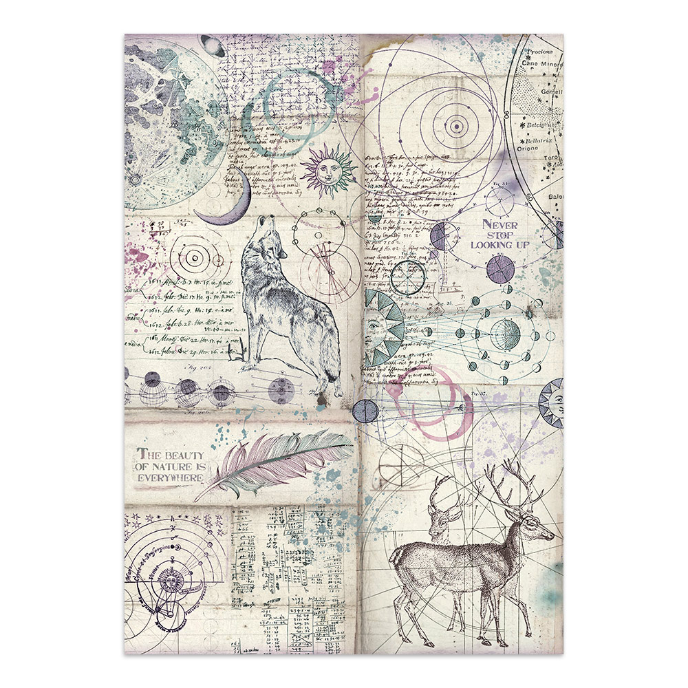SBJK29 - Stamperia - Stamperia junk journal stickers et découpes – Cosmos - Junk Journal - Detail 12 SBJK29 - Stamperia - Stamperia junk journal stickers et découpes – Cosmos - Junk Journal - Detail 12