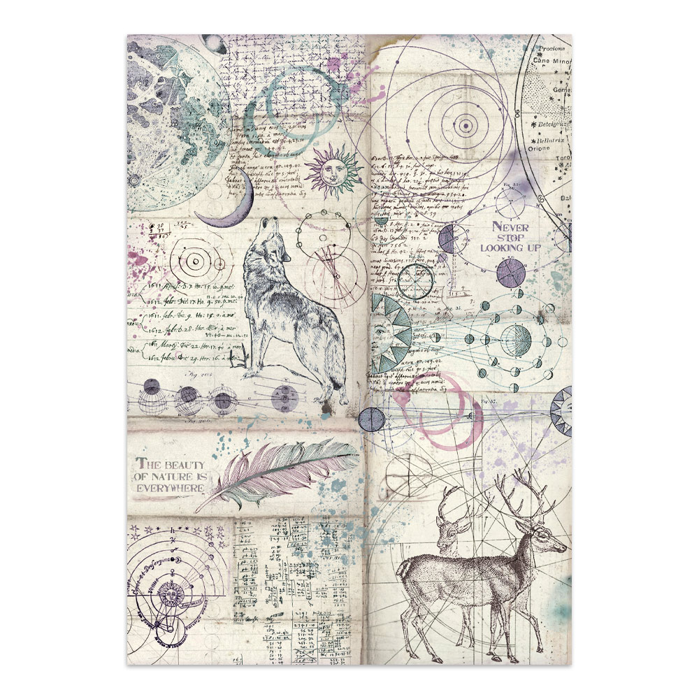 SBJKS08 - Stamperia - Stamperia junk journal Focus Points A5 – Cosmos - Junk Journal - Detail 28 SBJKS08 - Stamperia - Stamperia junk journal Focus Points A5 – Cosmos - Junk Journal - Detail 28