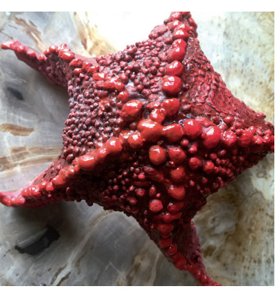 0288 - Powertex - Balls Small - 3D Balls/Sand - Detail 1