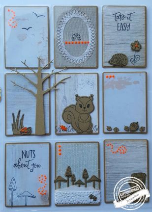 Snail Hedgehog Autum - CUT-IES - Escargot, Hérisson, feuille - Animaux - Detail 1