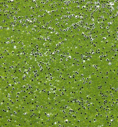 WS326R - Wow! - Palm(OM) - Poudres embossing glitter - Detail 1 WS326R - Wow! - Palm(OM) - Poudres embossing glitter - Detail 1