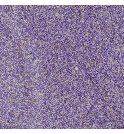 WL98R - Wow! - Plum Fizz *Jo Firth-Young* - Wow! Colour Blends - Detail 1