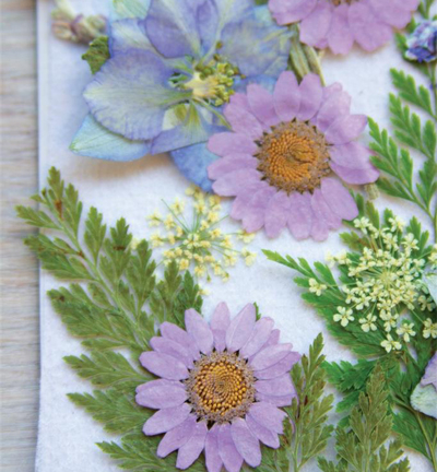 7649-01 - Stafil - Pulp sheets white - Feuilles de pulpe - Detail 7