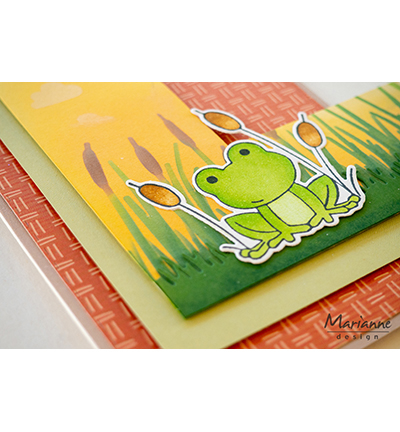 CS1155 - Marianne Design - Frog - Animaux - Detail 2
