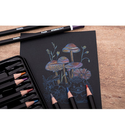 SL-CO-PENC02 - StudioLight - Pencils 12 Colors with metallic finish Essentials nr.02 - StudioLight Pencils - Detail 1 SL-CO-PENC02 - StudioLight - Pencils 12 Colors with metallic finish Essentials nr.02 - StudioLight Pencils - Detail 1