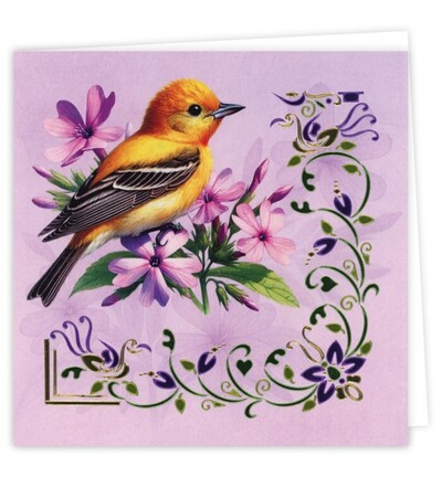 DODOPP038 - Find-it - Hobbydots Cards 38 – Oiseaux de printemps - Hobbydots Cards - Detail 1 DODOPP038 - Find-it - Hobbydots Cards 38 – Oiseaux de printemps - Hobbydots Cards - Detail 1