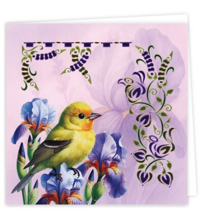 DODOPP038 - Find-it - Hobbydots Cards 38 – Oiseaux de printemps - Hobbydots Cards - Detail 2 DODOPP038 - Find-it - Hobbydots Cards 38 – Oiseaux de printemps - Hobbydots Cards - Detail 2