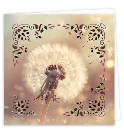 DODOPP041 - Find-it - Hobbydots Cards 41 – Condoléances - Hobbydots Cards - Detail 1