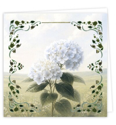 DODOPP046 - Find-it - Hobbydots Cards 46 – Hortensia blanc - Hobbydots Cards - Detail 1 DODOPP046 - Find-it - Hobbydots Cards 46 – Hortensia blanc - Hobbydots Cards - Detail 1
