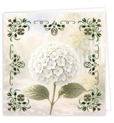 DODOPP046 - Find-it - Hobbydots Cards 46 – Hortensia blanc - Hobbydots Cards - Detail 3 DODOPP046 - Find-it - Hobbydots Cards 46 – Hortensia blanc - Hobbydots Cards - Detail 3