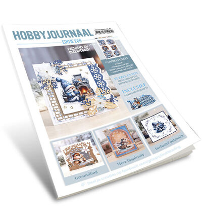 HJ260 - Find-it - Hobbyjournaal 260 - Hobbyjournaal 260 - Detail 12 HJ260 - Find-it - Hobbyjournaal 260 - Hobbyjournaal 260 - Detail 12