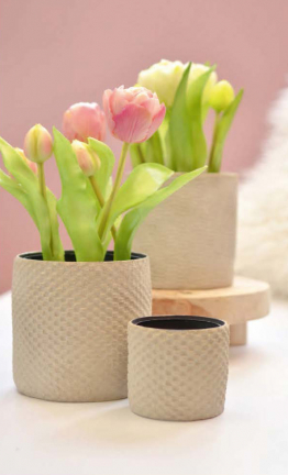 940500099 - ViVa Decor - Beton zum Kneten / Beton a Modeler - Beton zum Kneten - Detail 4