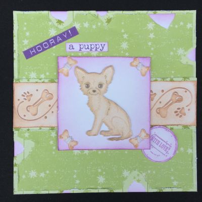 BD-000-055 - Tsukineko - Pearlescent Beige - Encre Brilliance  - Dew Drop - Detail 2