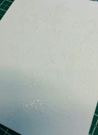 SEMR-T - Tsukineko - Inker Tinted Pink - Emboss Stamping Pad - Detail 1