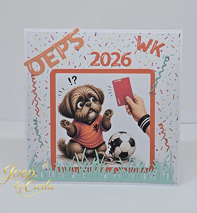 JBC-KV-2601024 - Joep By Carla - Voetballen met Joep - Football - Detail 2