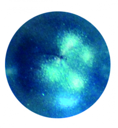 116271601 - ViVa Decor - Petrol - Perlen Pen - Detail 2 116271601 - ViVa Decor - Petrol - Perlen Pen - Detail 2