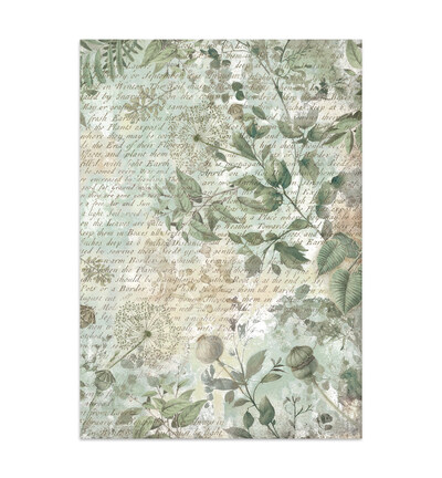 SBJK09 - Stamperia - Junk journal - Herbarium Silvae - Junk Journals - Detail 9