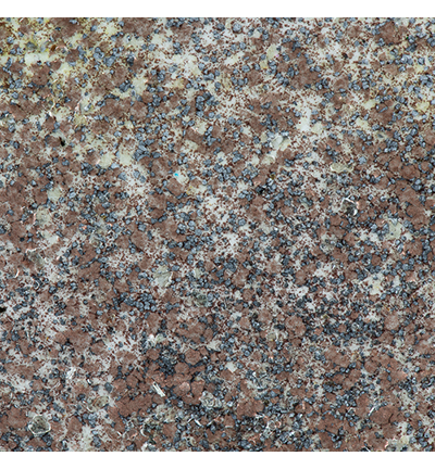 WL89X - Wow! - Macchiato *Catherine Pooler* - Wow! Colour Blends - Detail 1