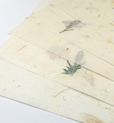 61620004 - Ursus - Papier Nature, Bud(bourgeon), 11 feuilles 23x33cm - Nature du papier - Detail 7