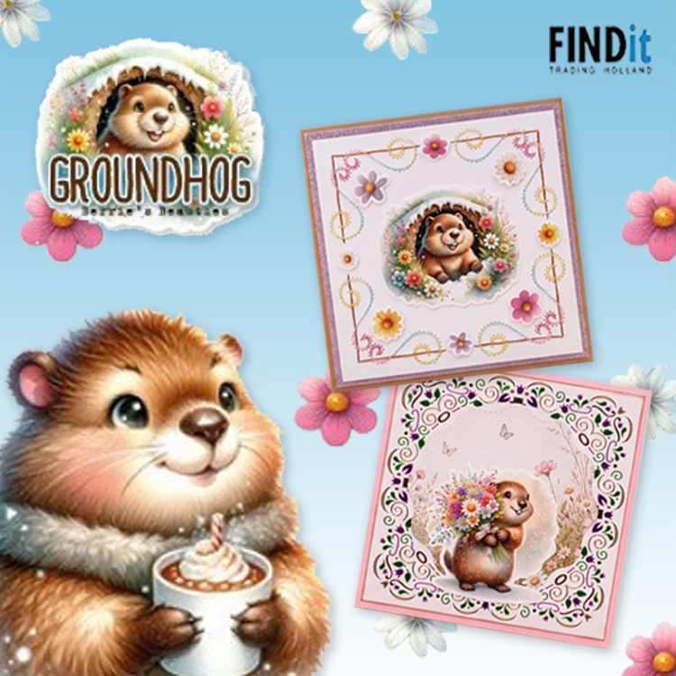 Find It,Nieuw bestelbaar,Voor uw webshop Berrie's Beauties Groundhog : des cartes marmottes de l'hiver à l'été Find It,Nieuw bestelbaar,Voor uw webshop Berrie's Beauties Groundhog : des cartes marmottes de l'hiver à l'été