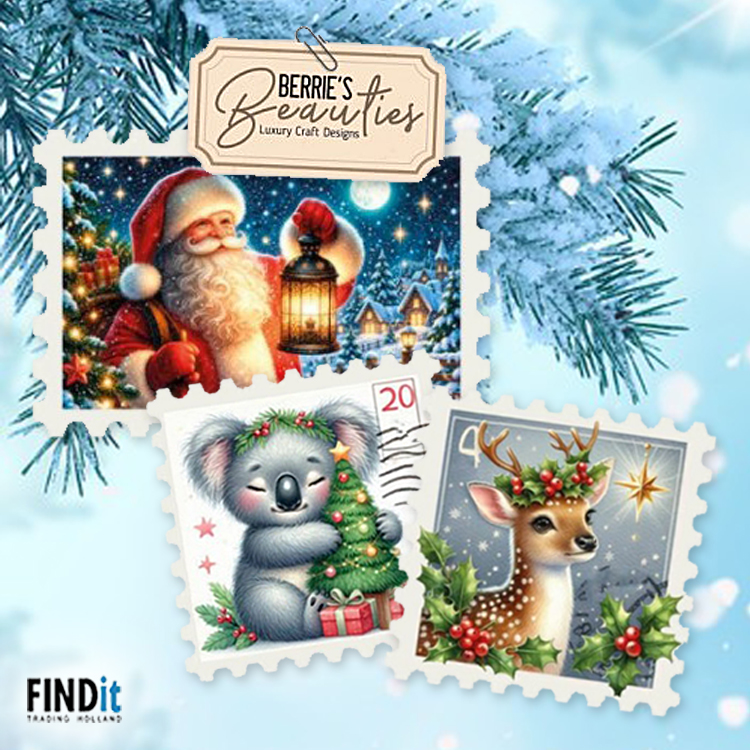 Find It,Nieuw bestelbaar,Voor uw webshop Noël rose de Find-it : broderie, décor hivernal et paperpack Find It,Nieuw bestelbaar,Voor uw webshop Noël rose de Find-it : broderie, décor hivernal et paperpack