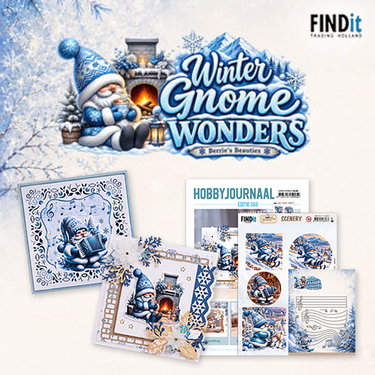 Find It,Nieuw bestelbaar,Voor uw webshop Winter Gnome Wonders de Berrie's Beauties : des cartes d'hiver avec des gnomes bleus Find It,Nieuw bestelbaar,Voor uw webshop Winter Gnome Wonders de Berrie's Beauties : des cartes d'hiver avec des gnomes bleus