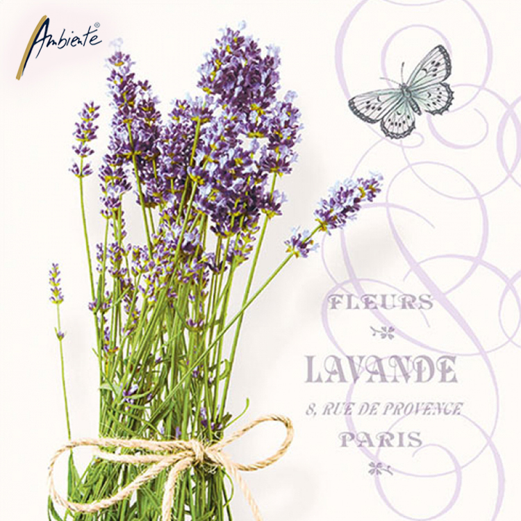 Ambiente Nouvelles serviettes d'Ambiente