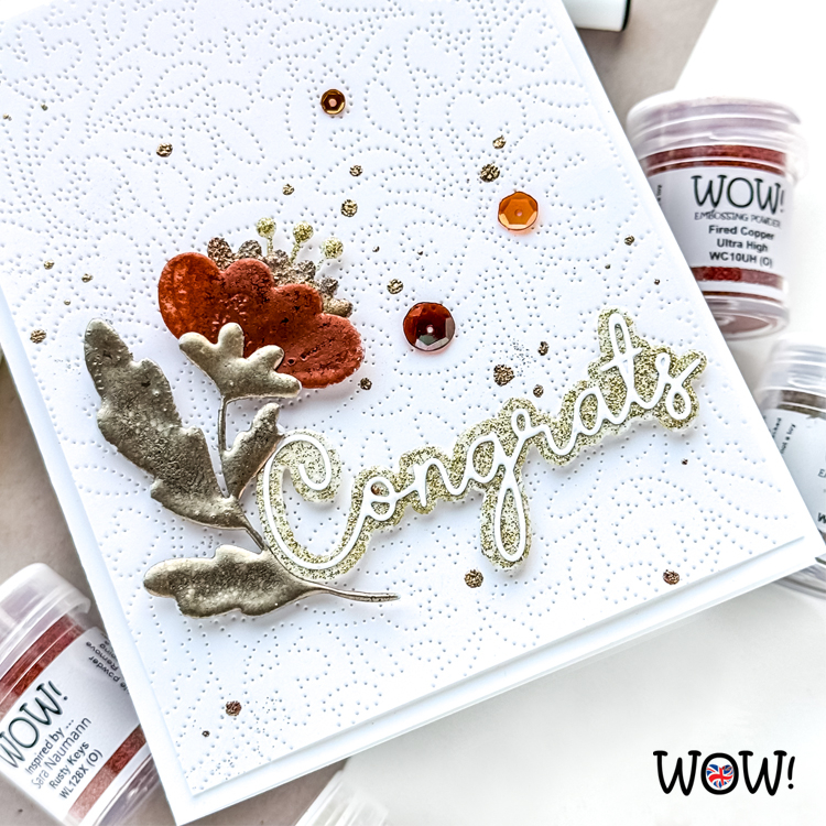 Overig  Poudre à embosser de Wow!