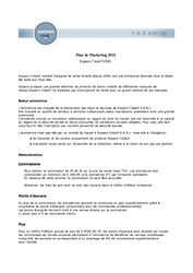 Plan de Marketing 2022